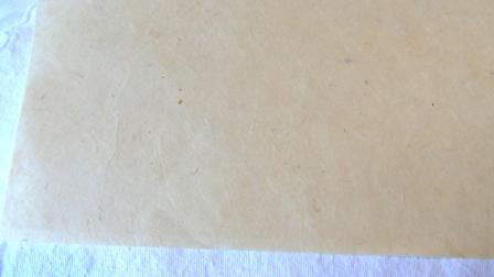 Papier végétal verso