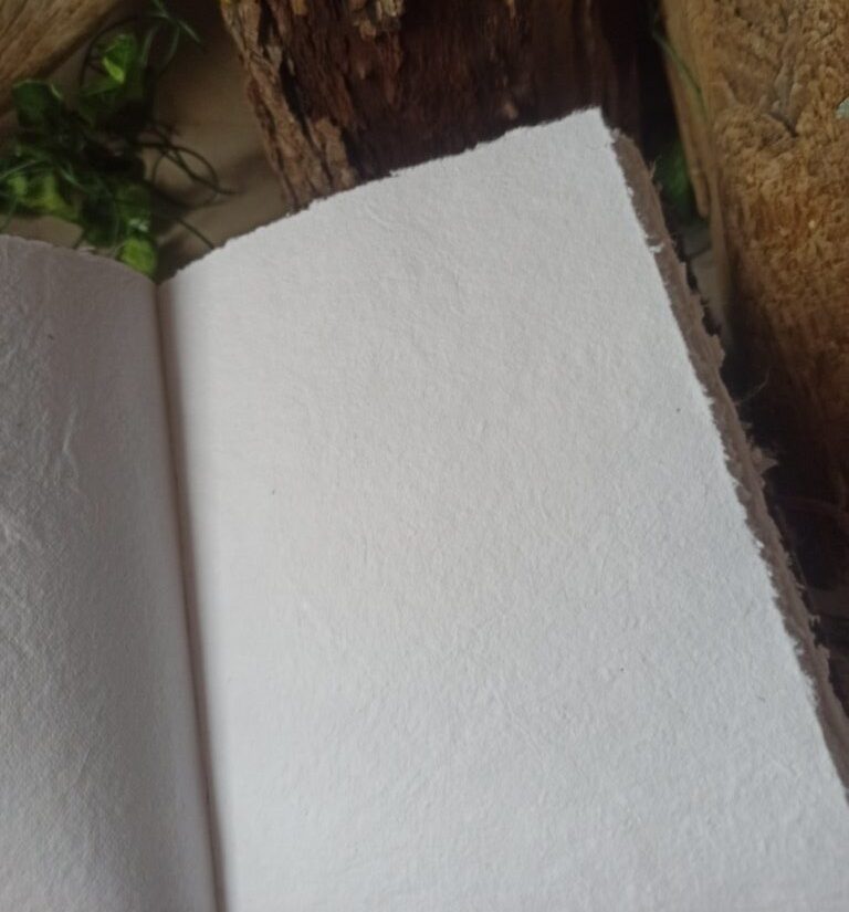 Grimoire, carnet vierge, reliure artisanale, L'arbre à papier