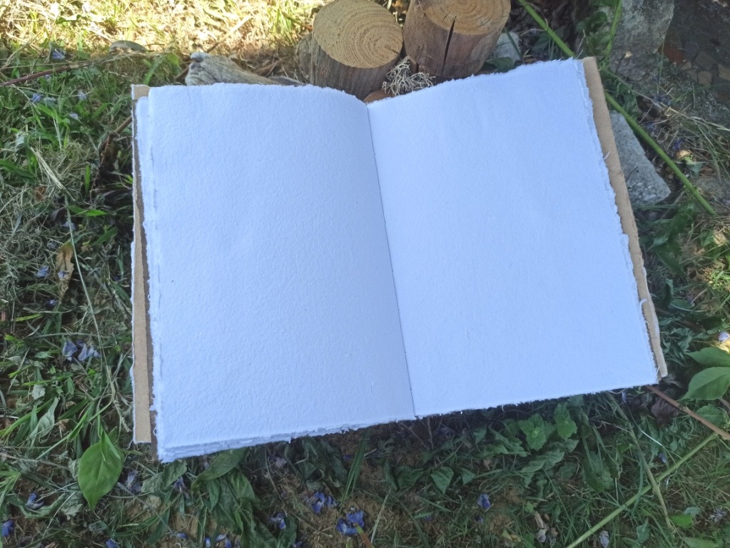 Grimoire vierge, reliure artisanale, papier coton, pièce unique