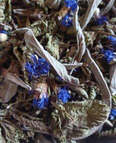 Tisane contes d'automne