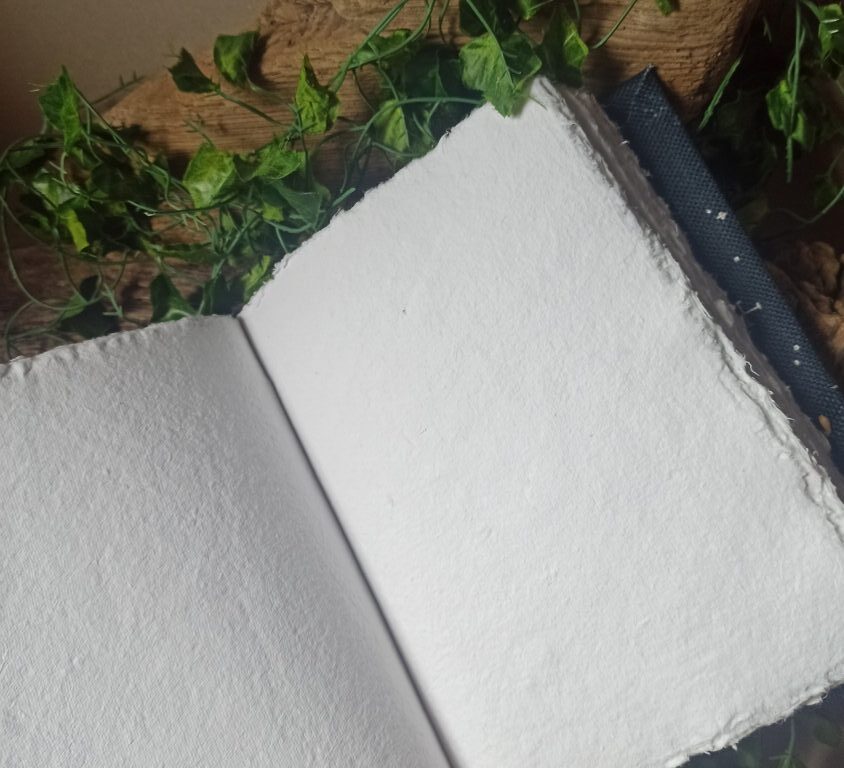 Grimoire vierge, reliure artisanale, pièce unique L'arbre à papier