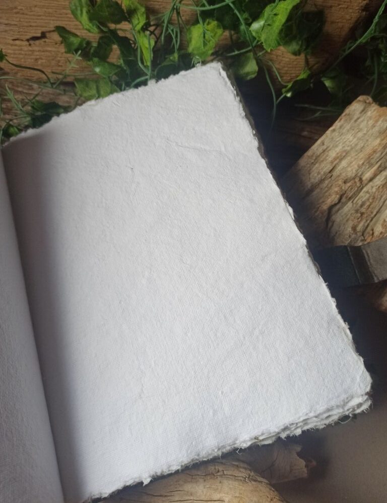 Grimoire vierge, papier coton, reliure artisanale, pièce unique, L'arbre à papier