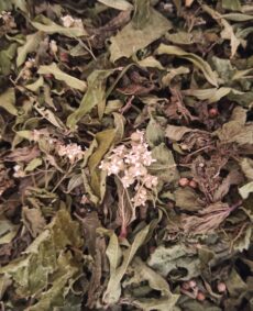 Tisane Le souffle de la nature